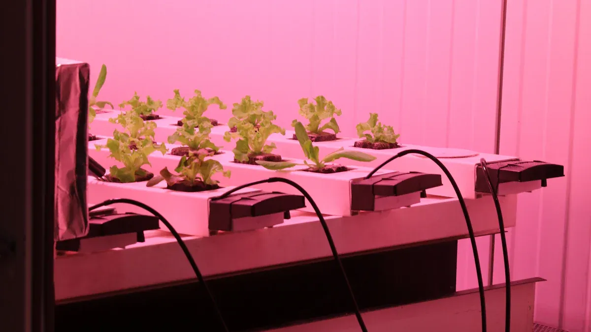 thiết bị và dụng cụ y tế: